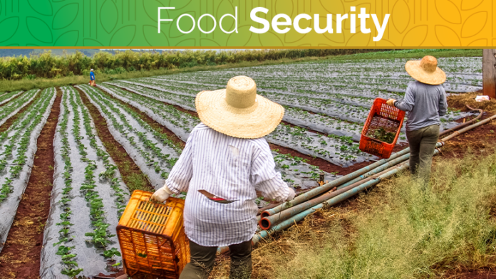 Food security